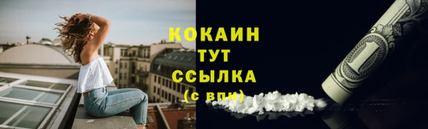 дживик Аркадак