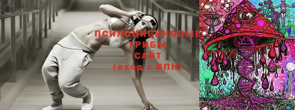 дживик Аркадак