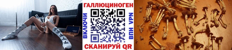 Псилоцибиновые грибы GOLDEN TEACHER  Мариинский Посад 